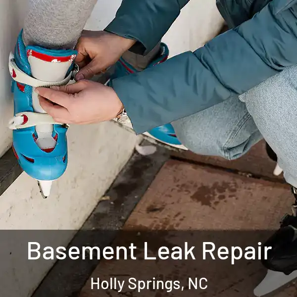  Basement Leak Repair Holly Springs, NC