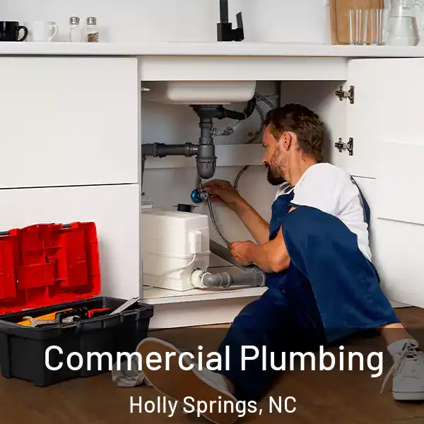 Commercial Plumbing Holly Springs, NC