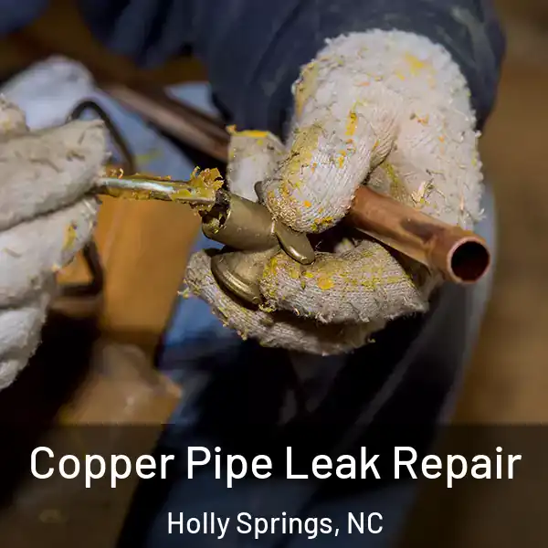  Copper Pipe Leak Repair Holly Springs, NC