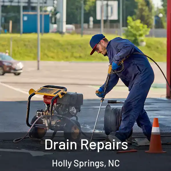  Drain Repairs Holly Springs, NC