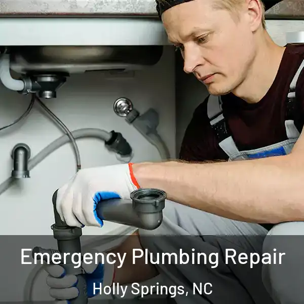 Emergency Plumbing Repair Holly Springs, NC