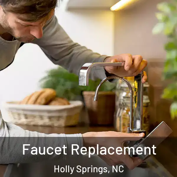  Faucet Replacement Holly Springs, NC