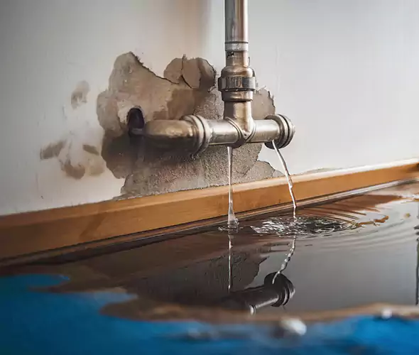 Professional Water Damage Restoration Experts in Holly Springs, NC — Fast, Reliable & Certified