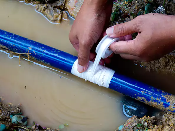  Why Choose Holly Springs Plumbing for Leak Detection in Holly Springs, NC?]