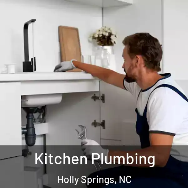  Kitchen Plumbing Holly Springs, NC