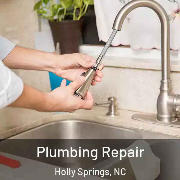  Plumbing Repair Holly Springs, NC