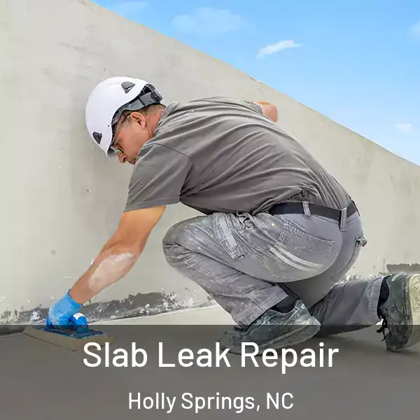  Slab Leak Repair Holly Springs, NC