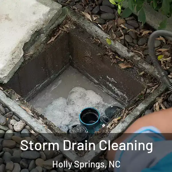  Storm Drain Cleaning Holly Springs, NC