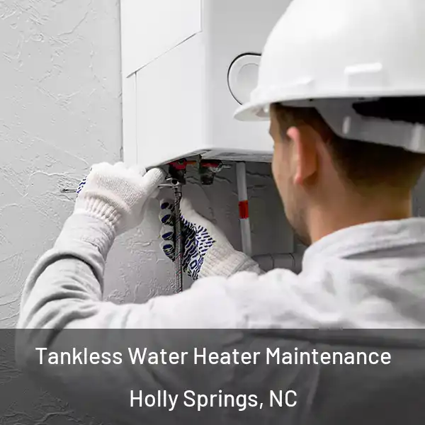  Tankless Water Heater Maintenance Holly Springs, NC