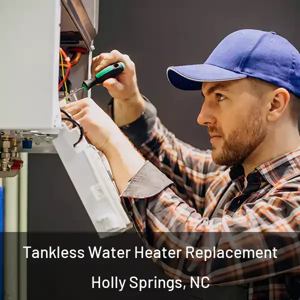 Tankless Water Heater Replacement Holly Springs, NC
