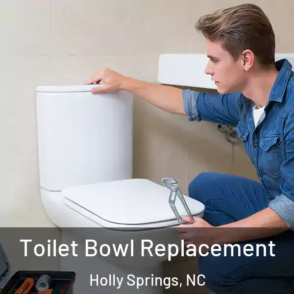  Toilet Bowl Replacement Holly Springs, NC