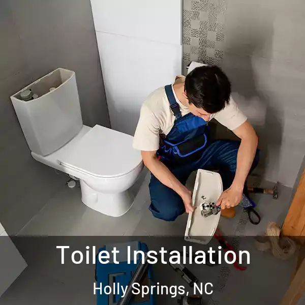  Toilet Installation Holly Springs, NC