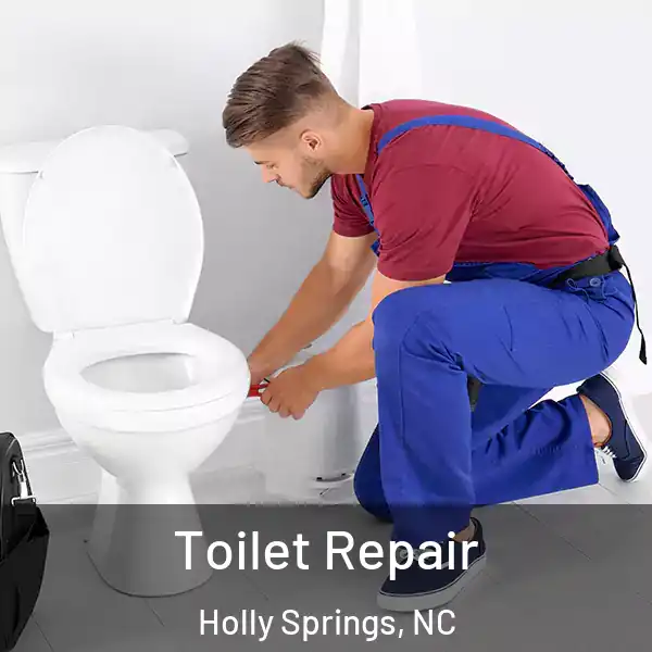  Toilet Repair Holly Springs, NC