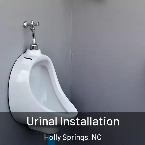  Urinal Installation Holly Springs, NC