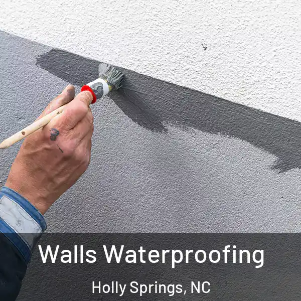  Walls Waterproofing Holly Springs, NC
