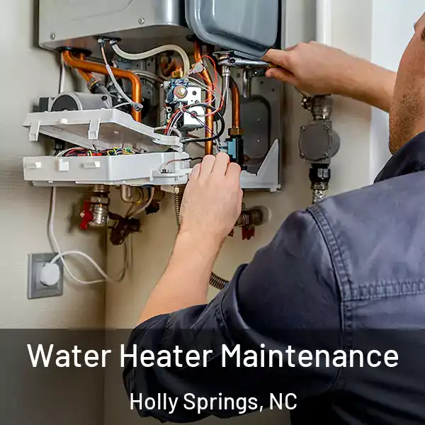  Water Heater Maintenance Holly Springs, NC