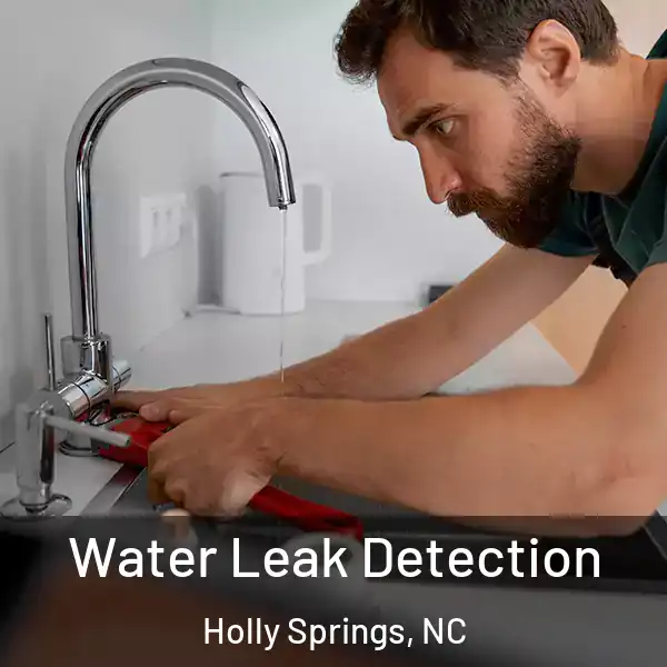  Water Leak Detection Holly Springs, NC