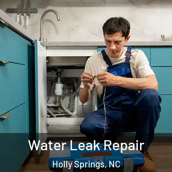  Water Leak Repair Holly Springs, NC